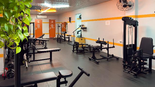 Imagem 1 da galeria do parceiro Studio Lumen - Corpo e Movimento