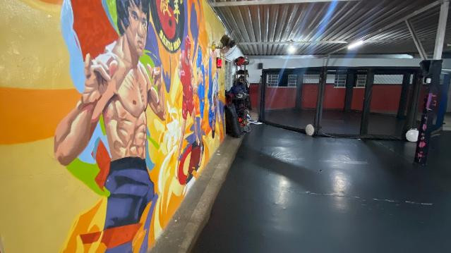 Imagem 1 da galeria do parceiro CT Templo da Luta