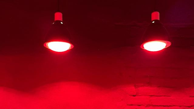 Imagen 1 de la galería del partner The Recovery Crew