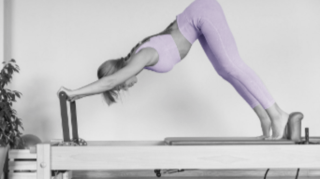 Image 3 from Level Up Pilates partner gallery