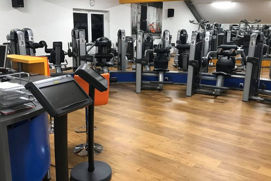 Bild 1 von FIT 2000 Partnergalerie