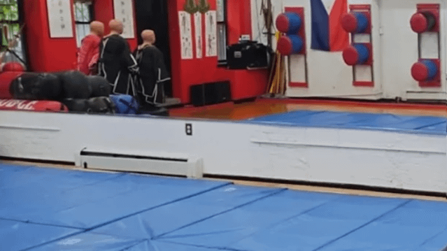 Image 3 from Fontanez Martial Arts Success Center partner gallery