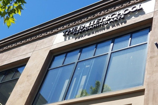 Image 2 from The Ballet School Performing Arts partner gallery