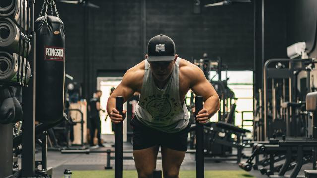 Image 3 from Lion Fitness partner gallery