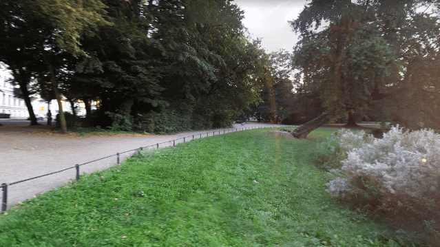 Bild 2 von CityBootCamp - Arthur-Bretschneider Park Partnergalerie