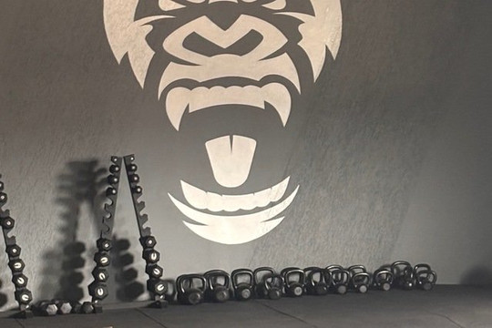 Imagem 1 da galeria do parceiro Crosslight