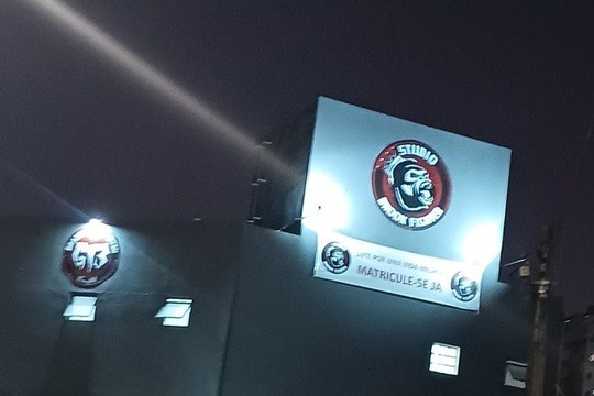 Imagem 2 da galeria do parceiro Studio Brook Fighter - Bonfiglioli