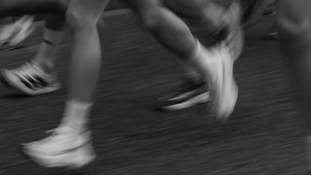 Imagen 3 de la galería del partner Atlic