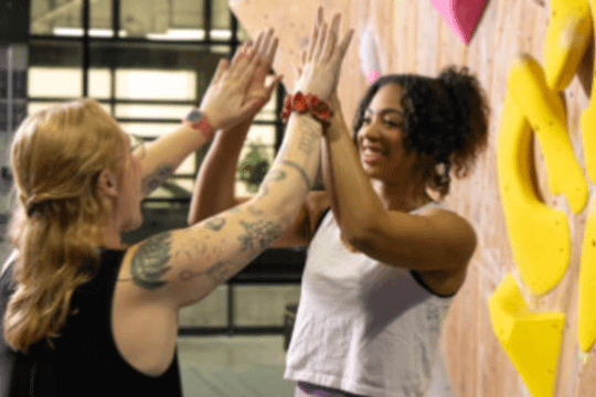 Image 1 from Bouldering Project - Upper Walls partner gallery