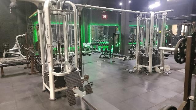 Imagen 1 de la galería del partner Urban Muscle