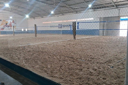 Imagem 3 da galeria do parceiro Arena Shark-