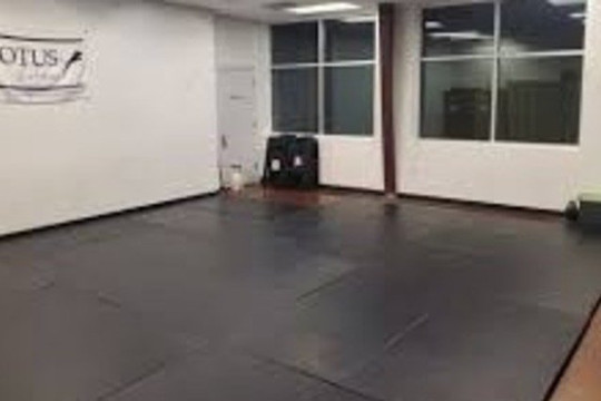 Image 2 from Motus Jiu Jitsu partner gallery