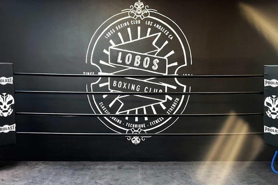 Image 1 from Lobos Boxing Club partner gallery