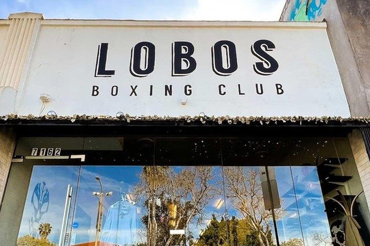 Image 2 from Lobos Boxing Club partner gallery