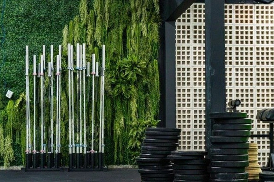 Imagem 3 da galeria do parceiro CrossFit SELVA