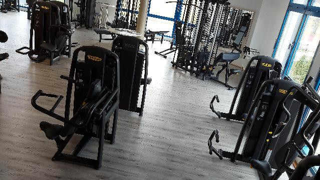 Bild 1 von TGS Walldorf Partnergalerie