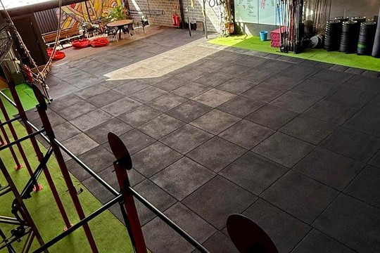 Imagem 3 da galeria do parceiro Insane Trainer