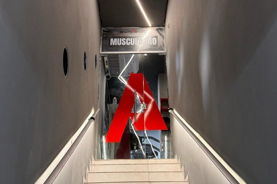 Imagem 1 da galeria do parceiro Insane Trainer