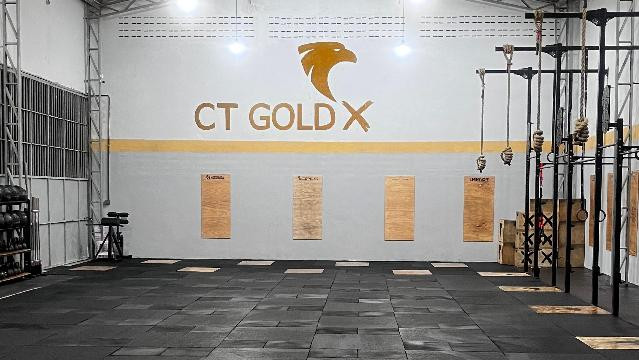 Imagem 1 da galeria do parceiro CT GOLD X