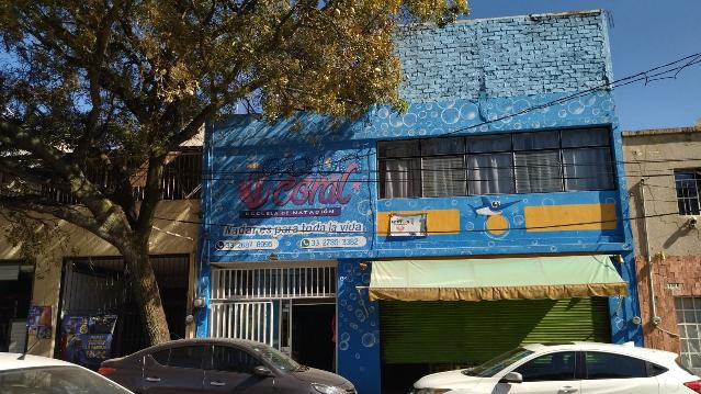 Imagen 2 de la galería del partner Aqua Coral escuela de natacion