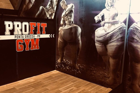 Imagem 1 da galeria do parceiro Profit Gym PG