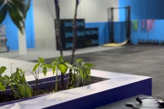 Imagem 3 da galeria do parceiro VO2 GYM AULAS COLETIVAS