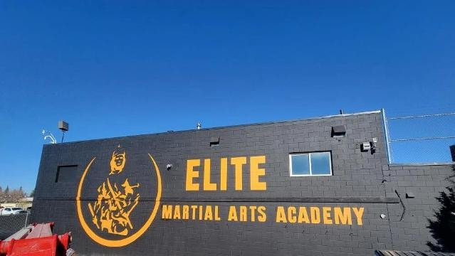 Image 2 from Elite Martial Arts Academy Flint partner gallery
