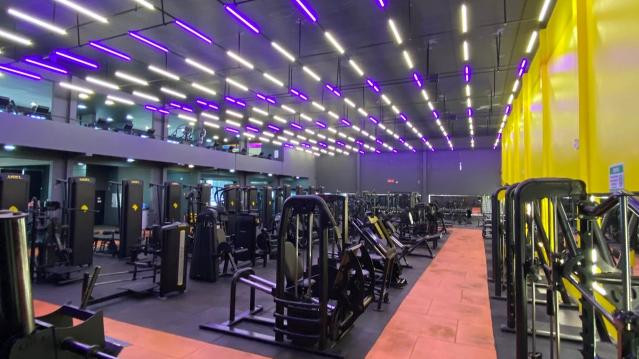 Imagem 3 da galeria do parceiro D'sena 5 - Peroba