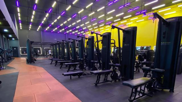 Imagem 1 da galeria do parceiro D'sena 5 - Peroba