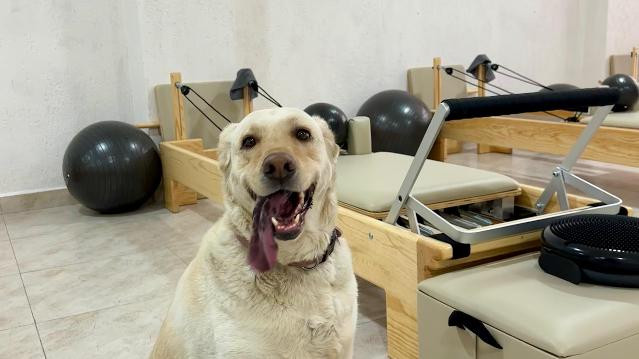 Imagen 3 de la galería del partner Casa Nueve Pilates