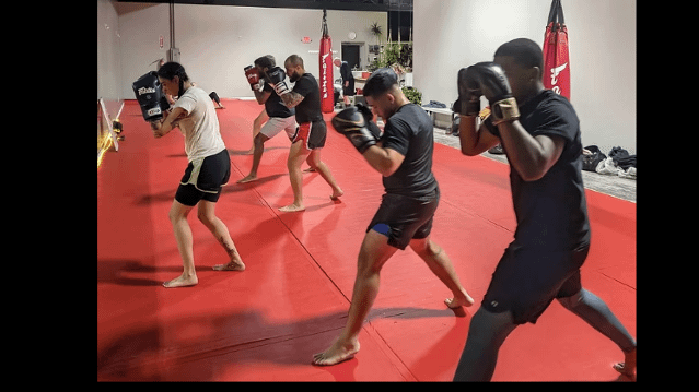 Image 3 from Silverback Training Facility partner gallery