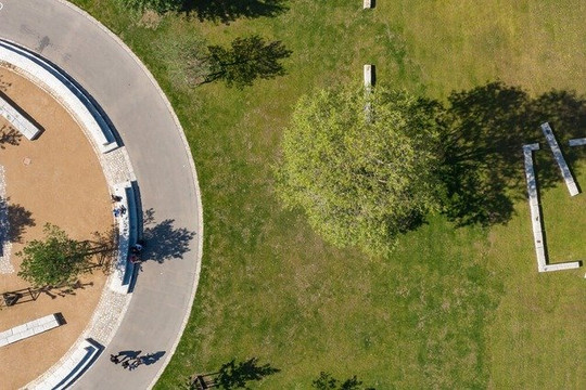 Bild 2 von Triathlon Crew Berlin Partnergalerie