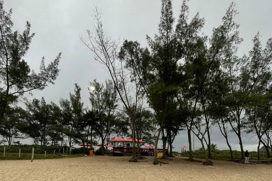 Imagem 2 da galeria do parceiro CT Kelvin Ricardo