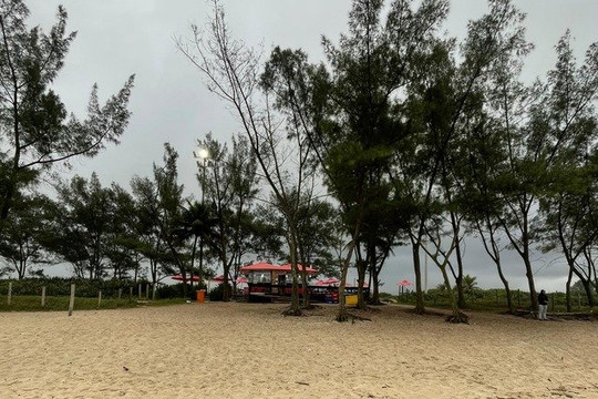 Imagem 1 da galeria do parceiro CT Kelvin Ricardo