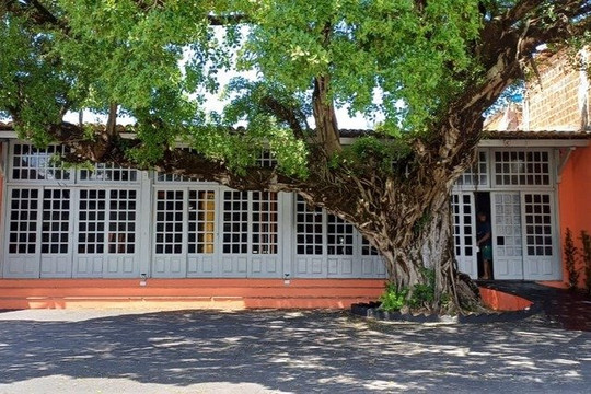 Imagem 2 da galeria do parceiro Rocks Fit