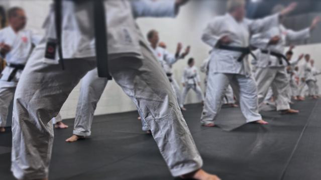 Image 1 de la galerie du partenaire Academy of Martial Arts Mississauga