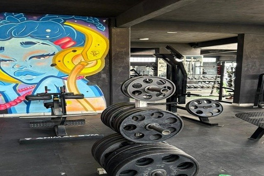 Imagen 1 de la galería del partner Animal Gym