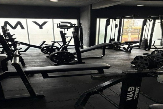 Imagen 3 de la galería del partner Animal Gym