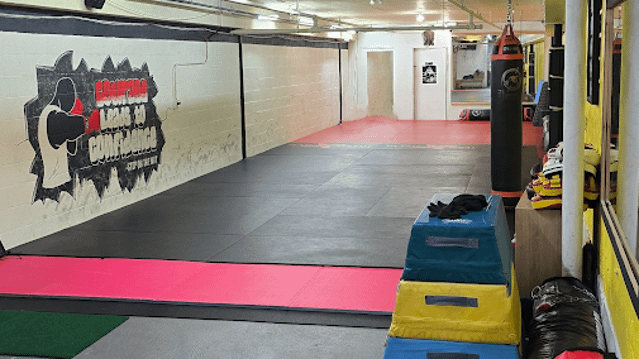 Image 1 from CKMI Boston (Combat Krav Maga Internatio partner gallery