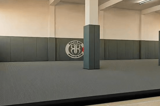 Imagem 3 da galeria do parceiro Pimentel Taekwondo Team