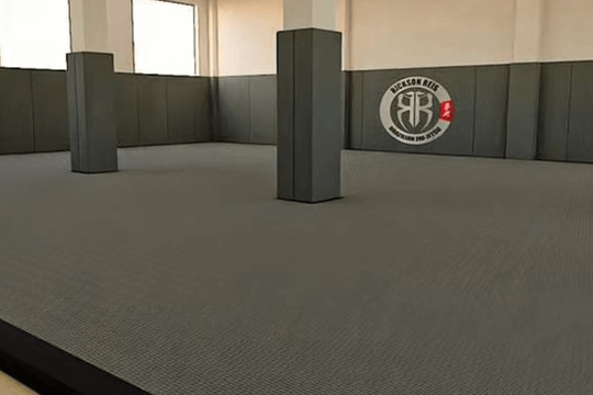 Imagem 1 da galeria do parceiro Pimentel Taekwondo Team