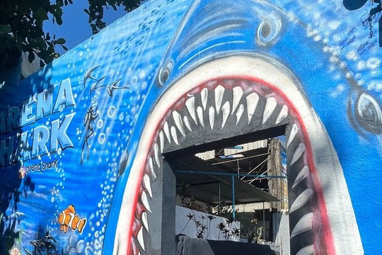 Imagem 2 da galeria do parceiro Arena Shark