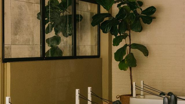 Imagen 3 de la galería del partner L’Anatomie