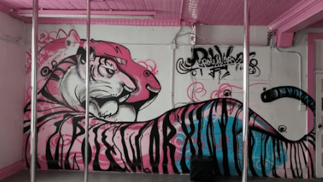 Image 2 from Pole Worx partner gallery