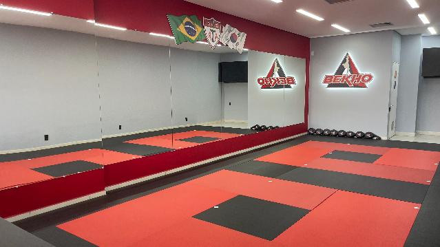 Imagem 1 da galeria do parceiro ATA Bekho Castelo