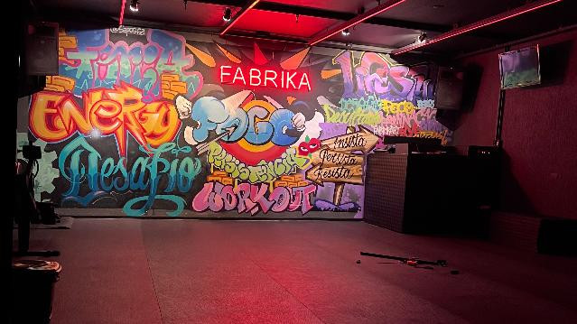 Imagem 1 da galeria do parceiro Fabrika - Art Gym Club Vila Mariana