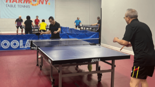 Image 3 from Harmony Table Tennis partner gallery