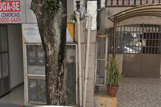 Imagem 2 da galeria do parceiro Bhāva Yoga Shala