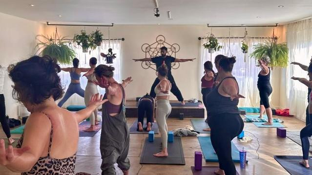 Image 3 from Yoga Nest Venice partner gallery