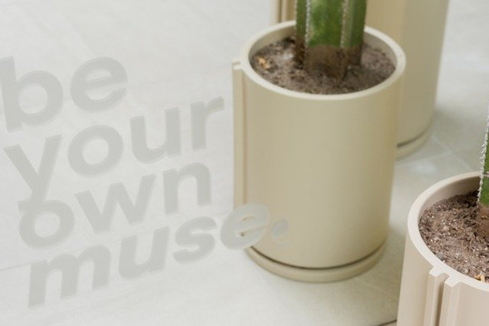 Imagen 2 de la galería del partner Wellness Studio Navarrete